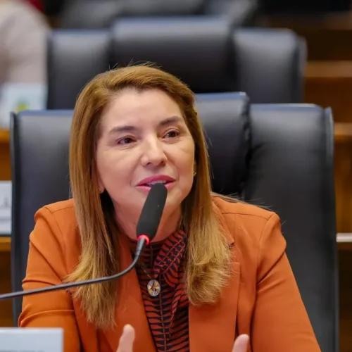 Partido se faz é com gente, com político e com voto. E isso nós temos”, afirma Iracema Vale sobre mudanças no PSB