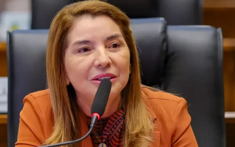 Partido se faz é com gente, com político e com voto. E isso nós temos”, afirma Iracema Vale sobre mudanças no PSB